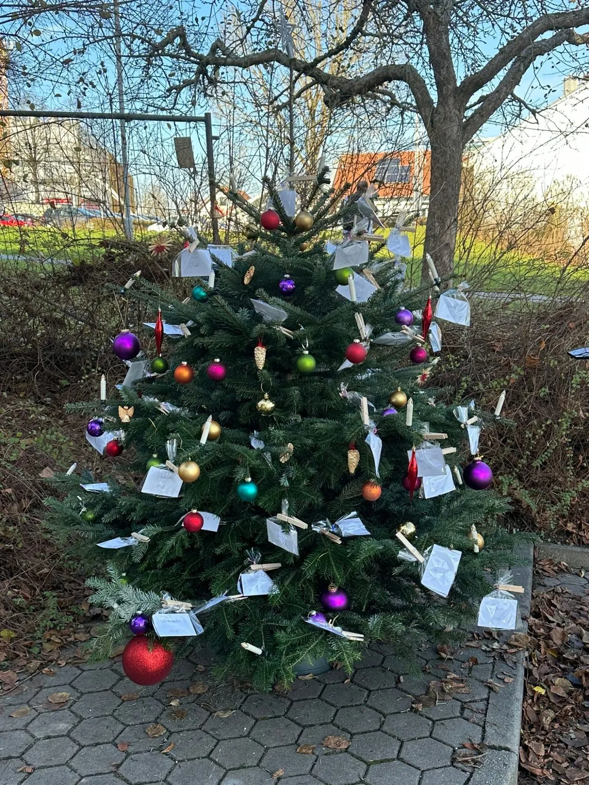 Ein geschmückter Weihnachtsbaum mit Wunschzetteln im Freien